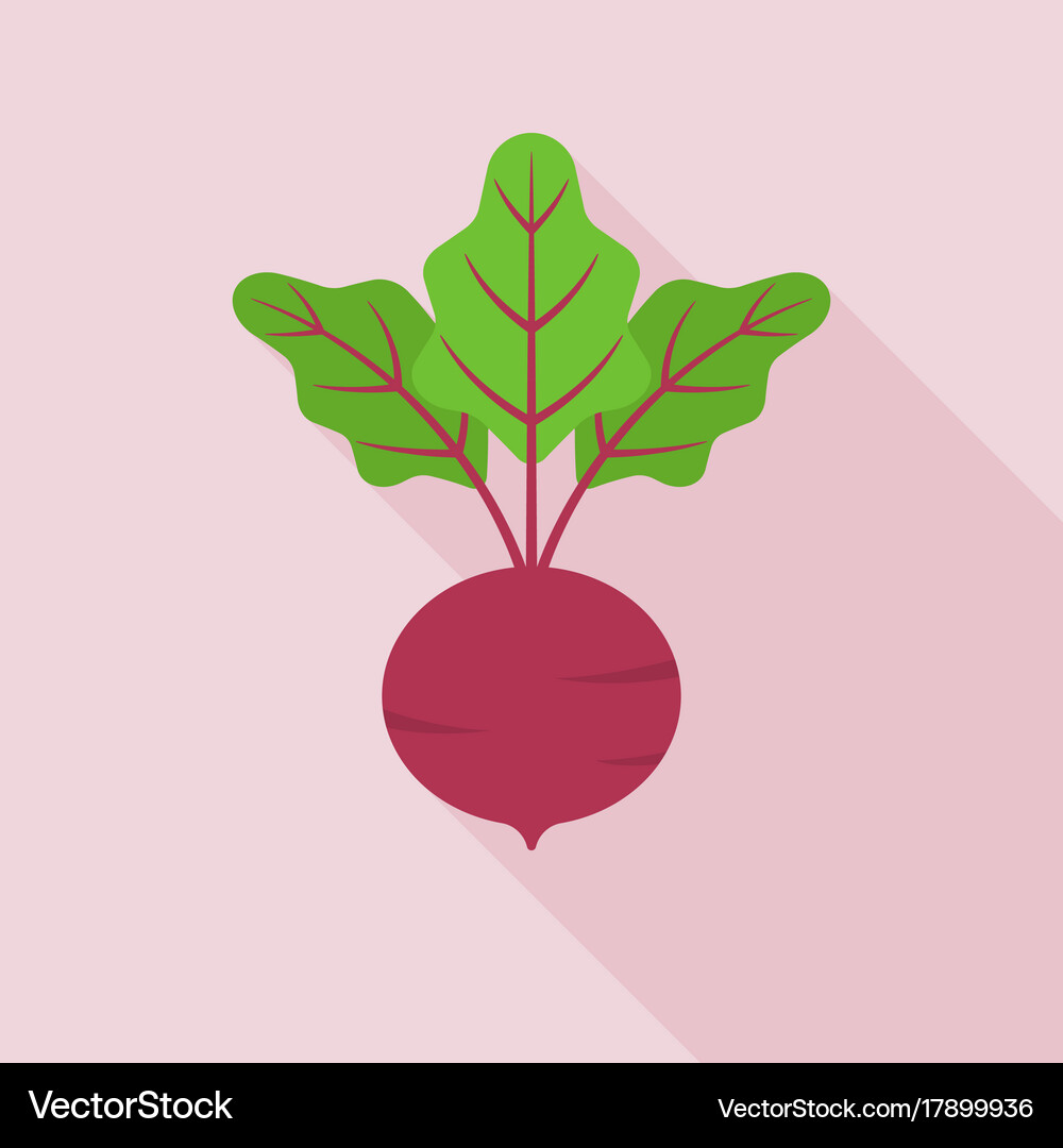 Flat Beetroot Icon with Shadow Royalty Free Vector Image