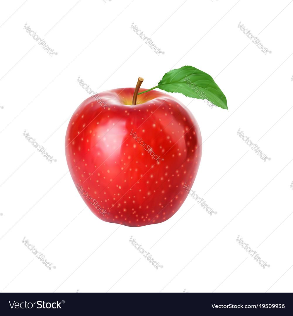 Realistic red apple whole fruit with green leaf Vector Image