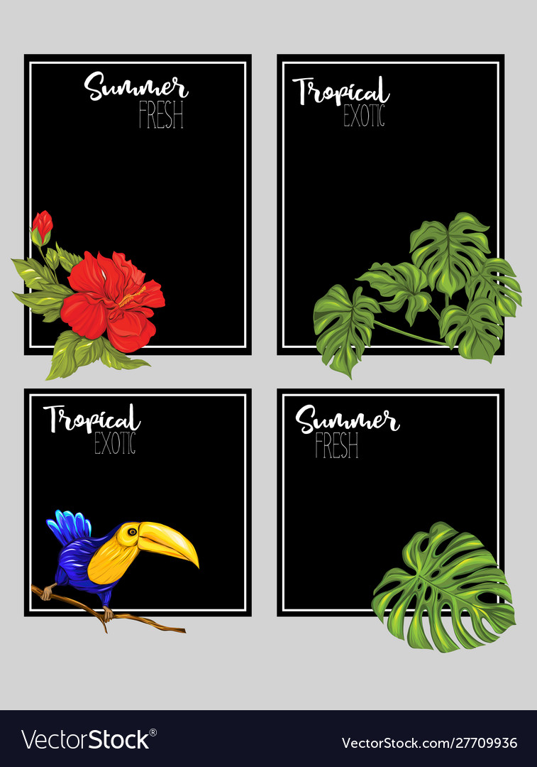 Set text boxes for bullet journal or notes vector image Set text boxes for bullet journal or notes