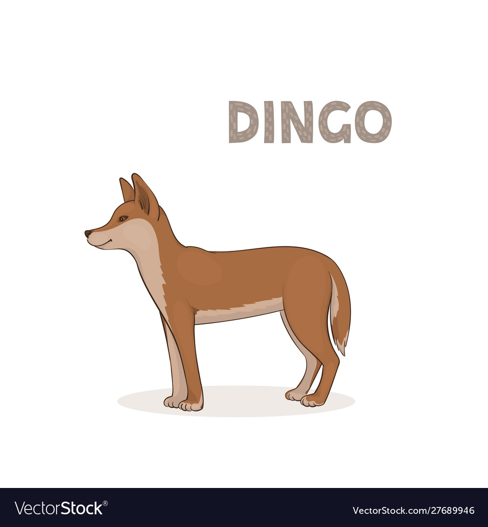 A cartoon dingo isolated Royalty Free Vector Image