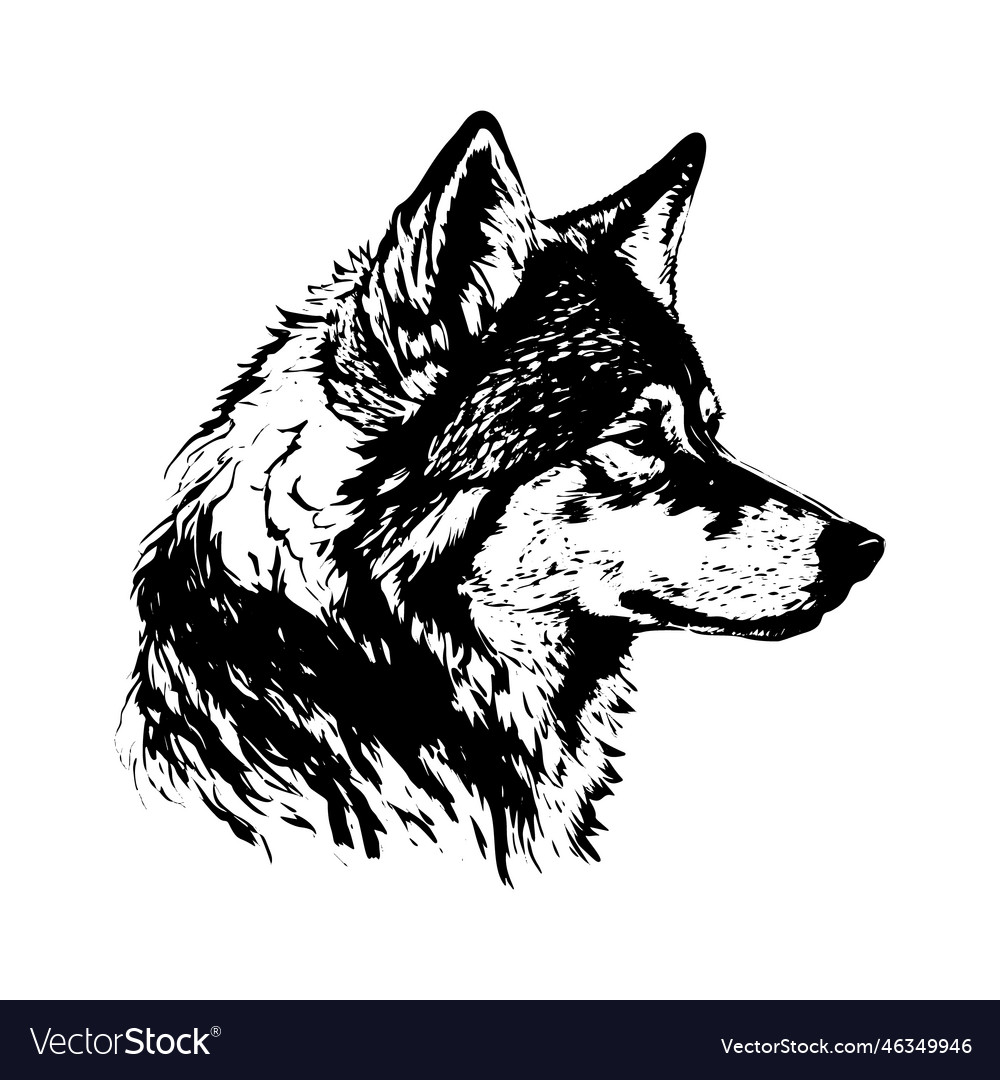 A hand-drawn sketch of wolf wild animal