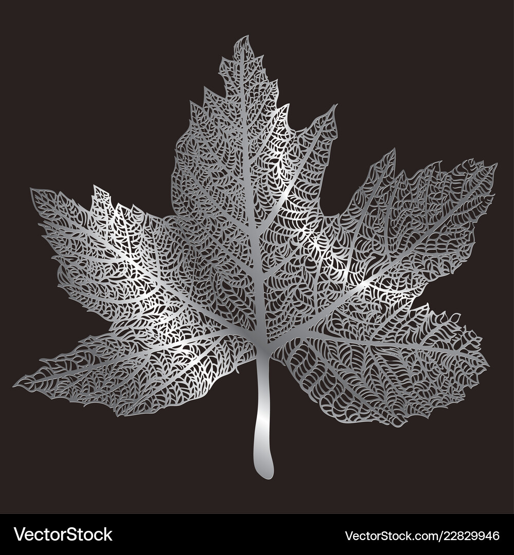 Autumn leaf Royalty Free Vector Image - VectorStock