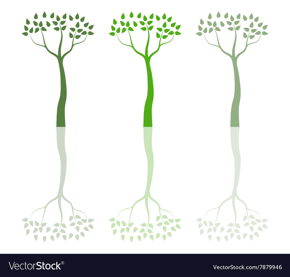 Tree on white background