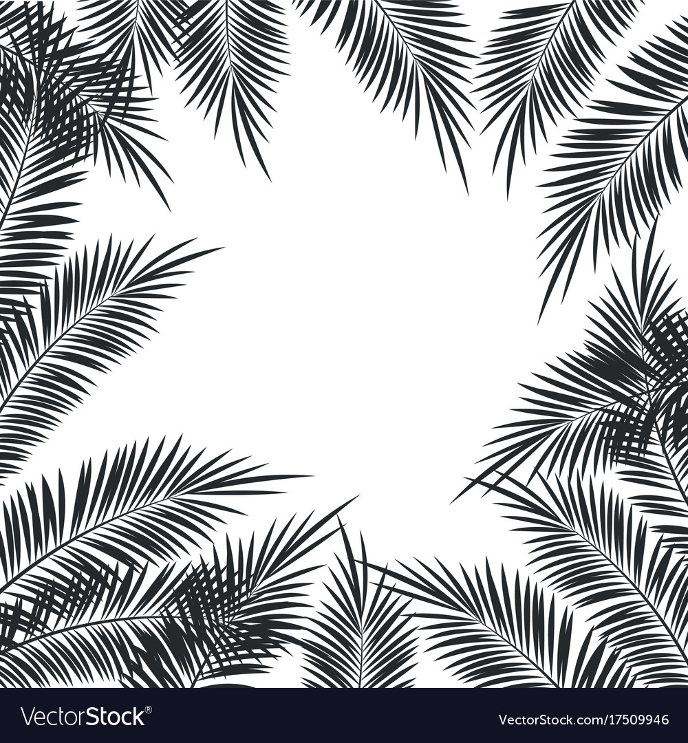 Tropical Palms Frame
