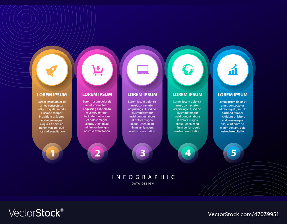 Infographic elements data visualization design vector image Infographic elements data visualization design