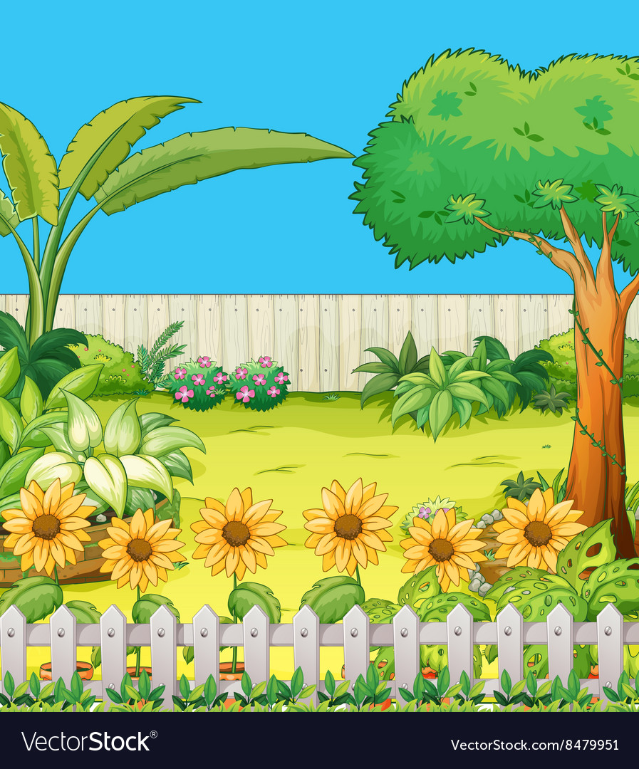 Scene with trees and flowers in backyard Vector Image