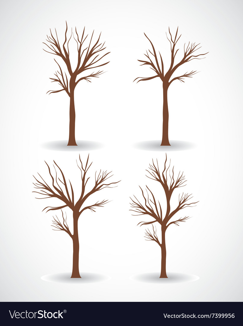 Conceptual tree design