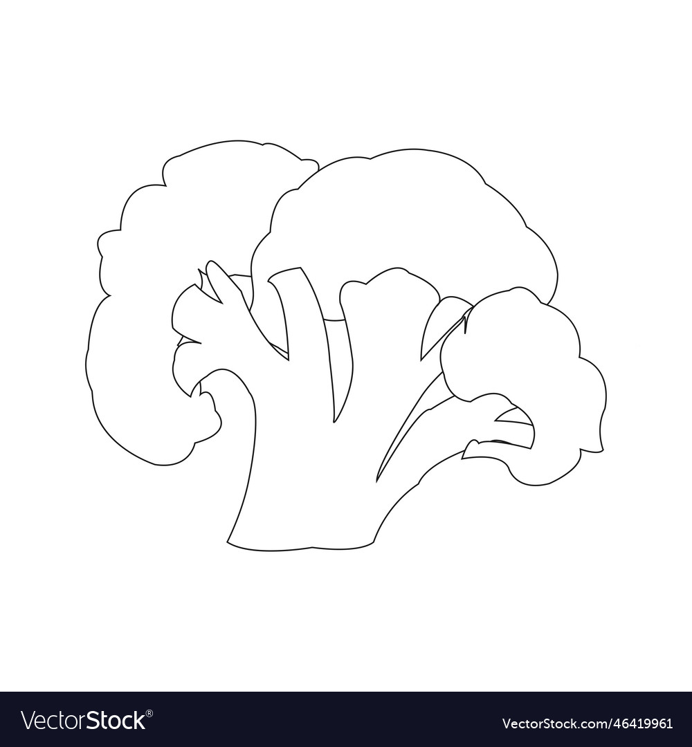 Broccoli icon Royalty Free Vector Image - VectorStock