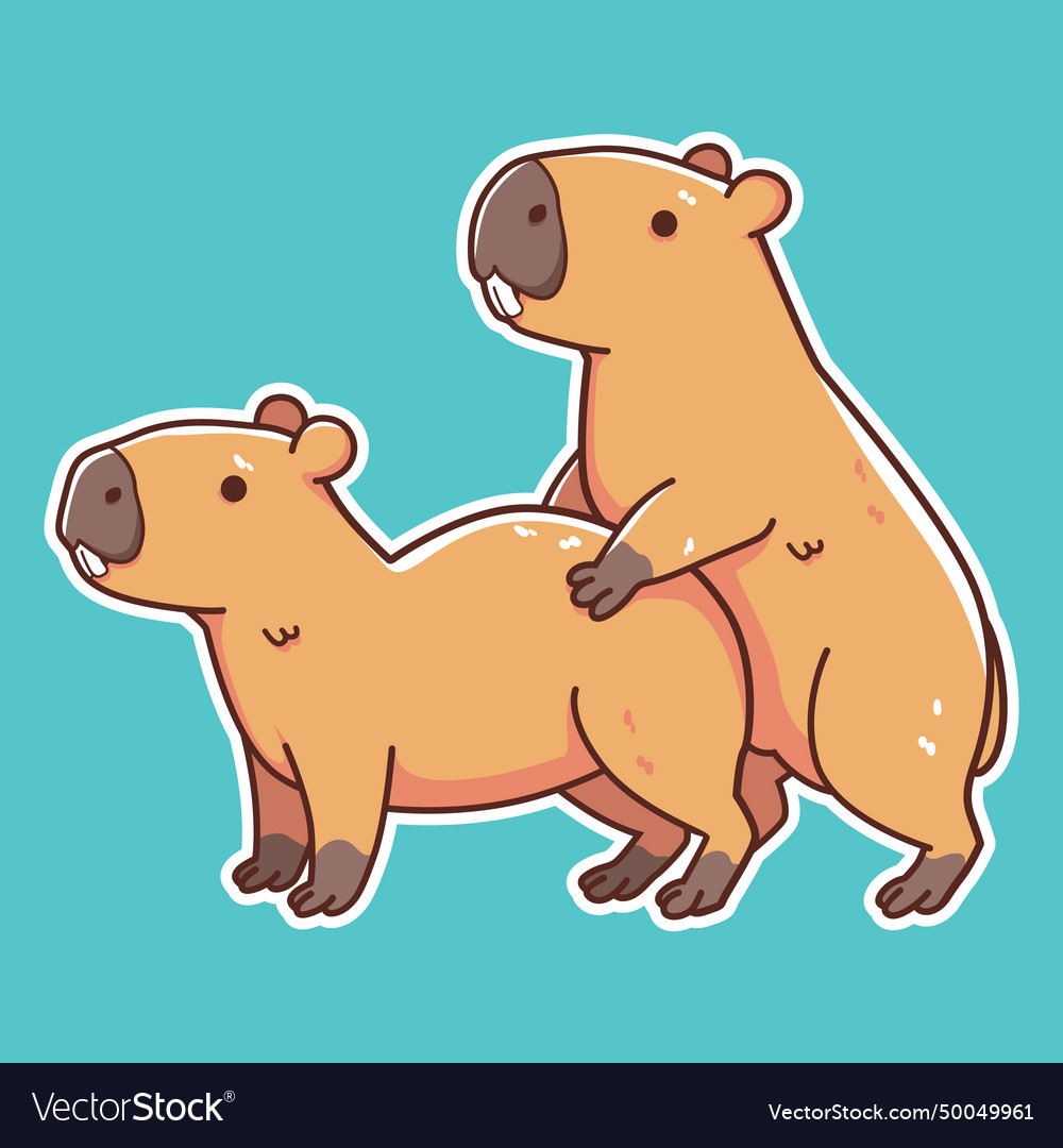 Capybara mating Royalty Free Vector Image - VectorStock