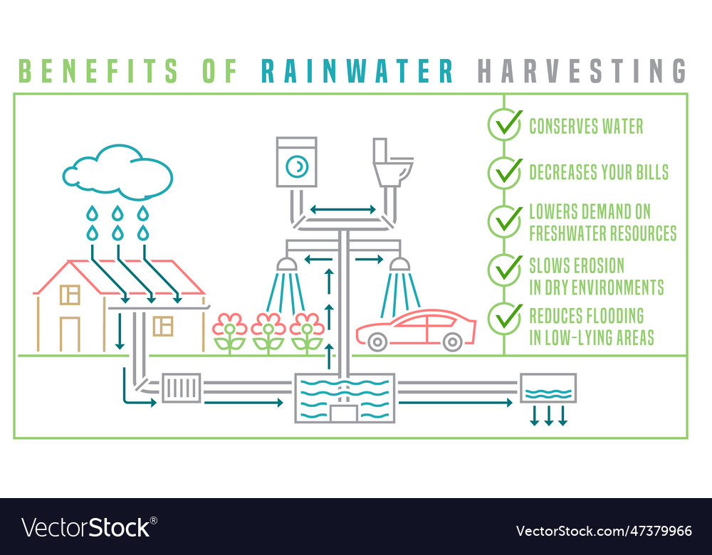 Rainwater harvesting scheme editable isolated Vector Image