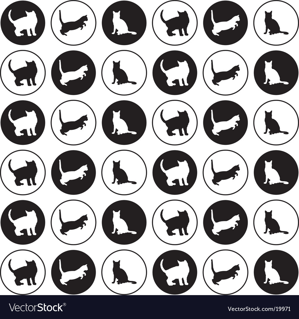 Cat pattern