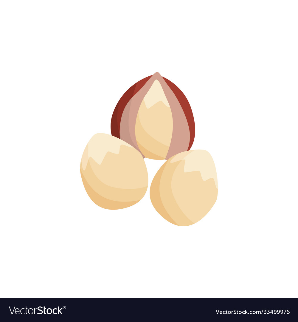 Brown hazelnuts with and without shell isolated
