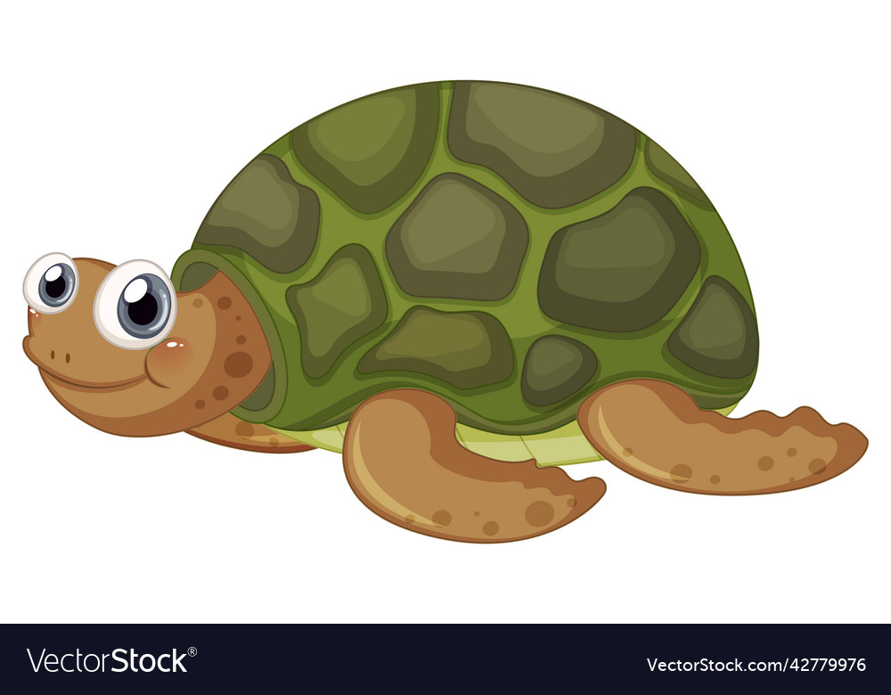 Cute turtle cartoon character on white background Vector Image