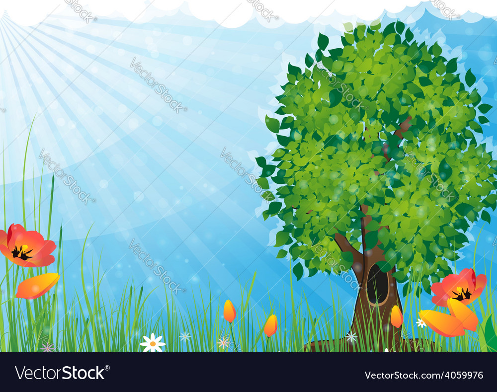 Tree in the meadow