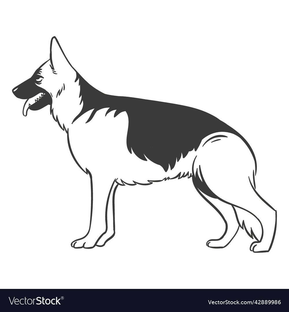 German shepherd side hand drawn high quality Vector Image