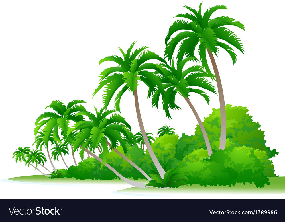 Icon palm tree and bush Royalty Free Vector Image