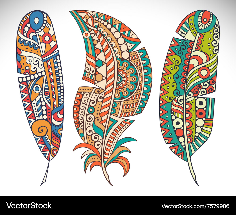 Set feather Royalty Free Vector Image - VectorStock