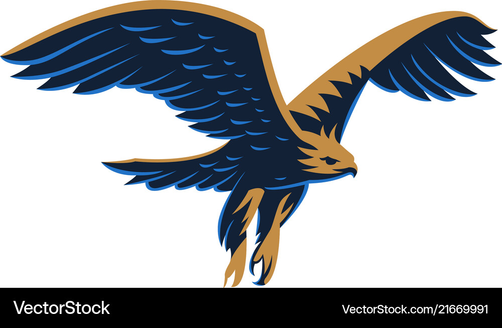 Flying eagle emblem Royalty Free Vector Image - VectorStock