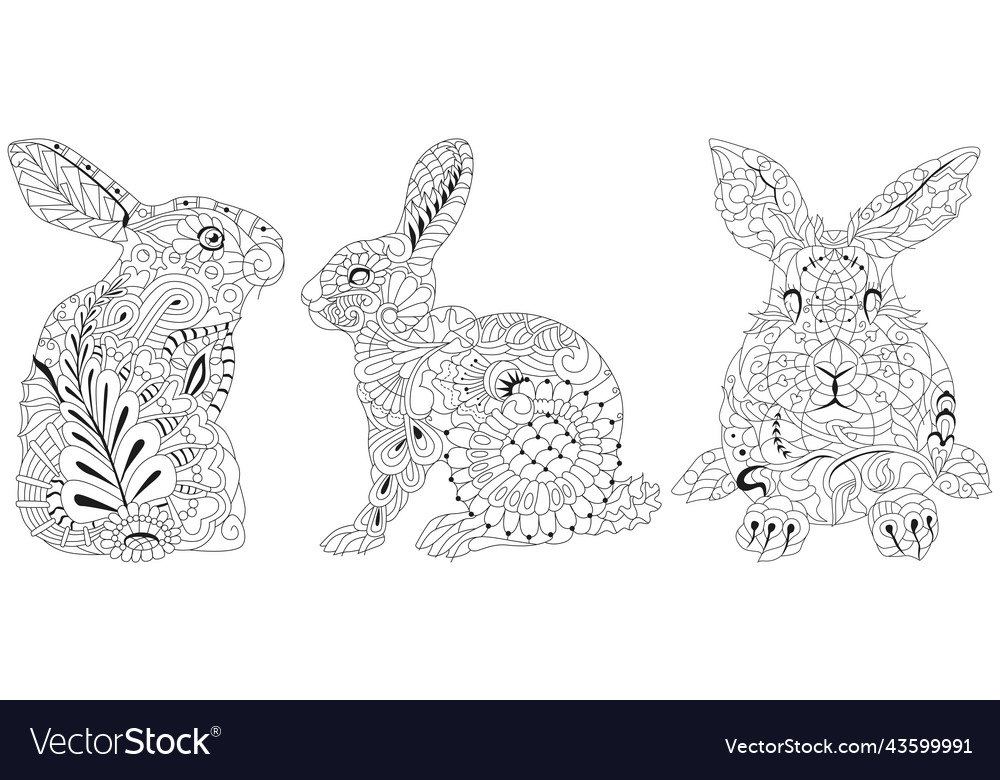 Set of images rabbits for coloring