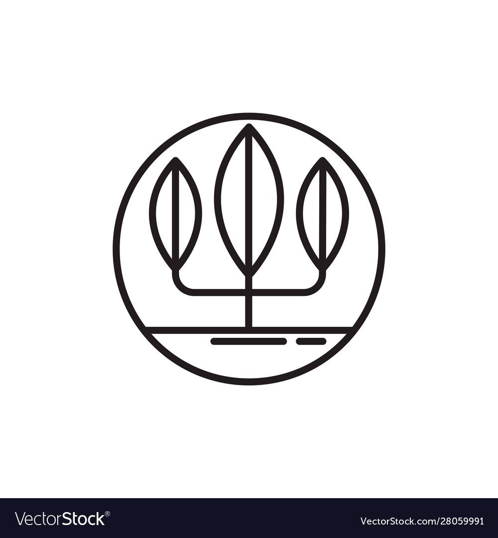 Tree with branches line style