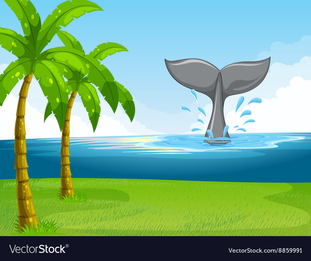 Whale swimming in the ocean Royalty Free Vector Image