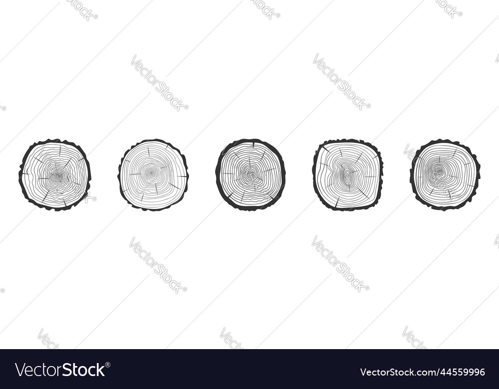 Tree Ring Cross-Section Icons