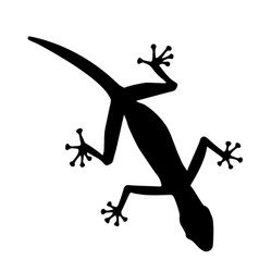 Gecko Vector Images (over 3,100)