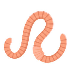 Worm crawling on white background Royalty Free Vector Image