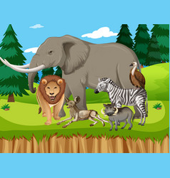 Wild animal in the jungle Royalty Free Vector Image