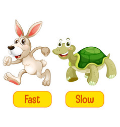 Opposite adjectives words with fast and slow Vector Image