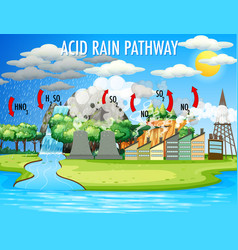 Diagram showing acid rain pathway on white Vector Image