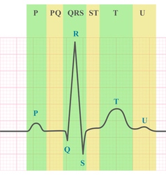 ecg vector images over 12000