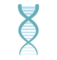 Dna molecule logo Royalty Free Vector Image - VectorStock