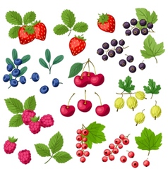 Stylized Fruit And Berries Royalty Free Vector Image