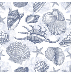 Shells seamless2 Royalty Free Vector Image - VectorStock