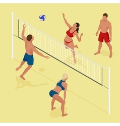 Monkeys playing in beach volleyball Royalty Free Vector