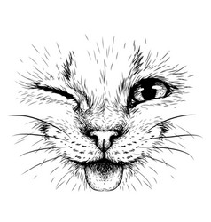 Funny cat creative design color portrait Vector Image