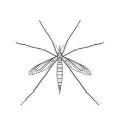 Cartoon mosquito Royalty Free Vector Image - VectorStock