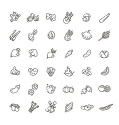 Vegetable icon set 22 line style Royalty Free Vector Image