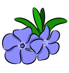 Periwinkle Flower Royalty Free Vector Image - VectorStock