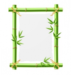 Border Template With Green Bamboo Royalty Free Vector Image Bamboo Frame With Blank Paper Vector Image