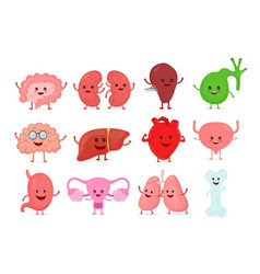 cute smiling happy human healthy strong vector image