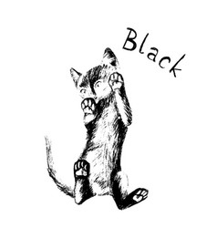 Black Cat Realistic Royalty Free Vector Image - VectorStock