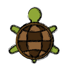 Turtle animal symbol Royalty Free Vector Image