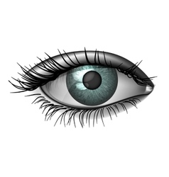 Eye Eyeball Vector Images (over 23,000)