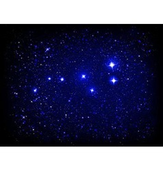 Starry night sky Royalty Free Vector Image - VectorStock