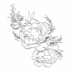 Peony line drawing flower line art peonies Vector Image