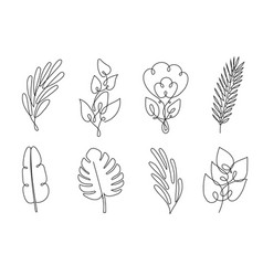 Leaf Line Vector Images Over 240 000