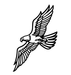 Black and white eagle spreading big wings Vector Image