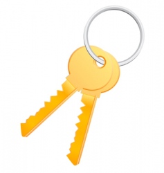 Bunch of keys Royalty Free Vector Image - VectorStock